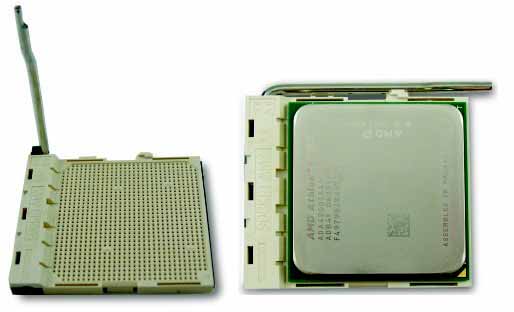 Tutorial_Socket AM2