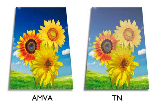 monitor-Philips_AMVA