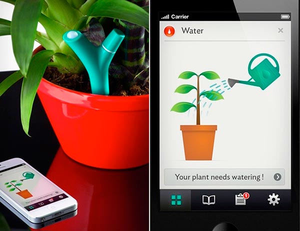 Parrot-Flower-Parrot-notificacion