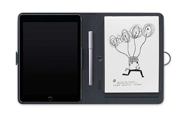 Bamboo-Spark-1