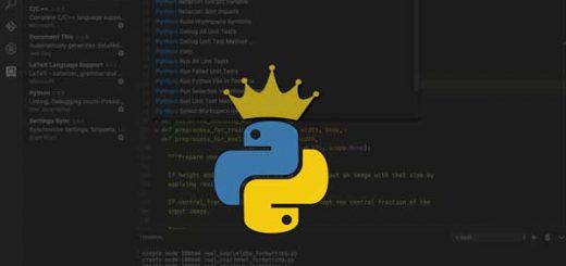 ¿Por qué el lenguaje Python es tan sencillo y usado?