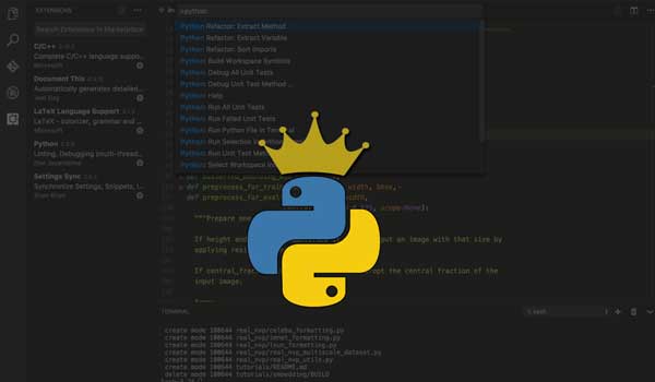 ¿Por qué el lenguaje Python es tan sencillo y usado?