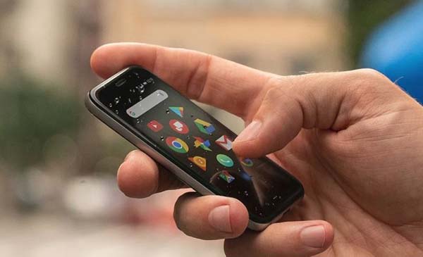 Palm 2018