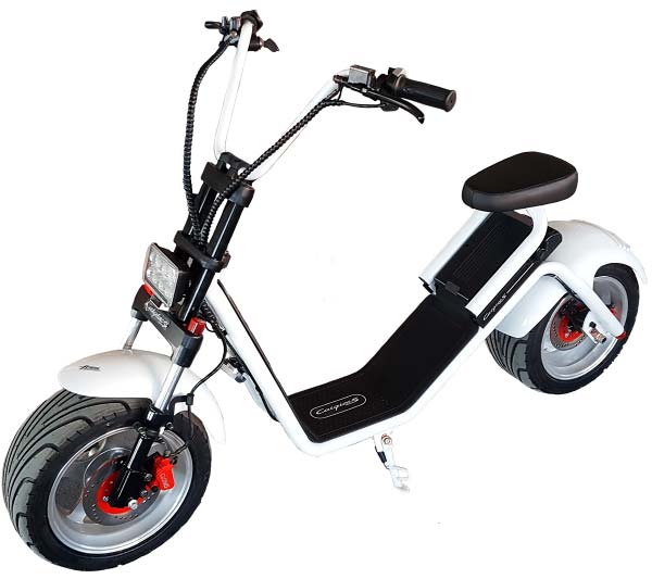 patinete electrico citycoco