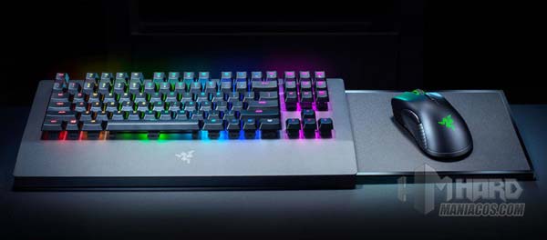 RazerTecladoRaton