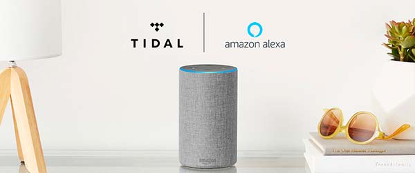 tidal Amazon Echo