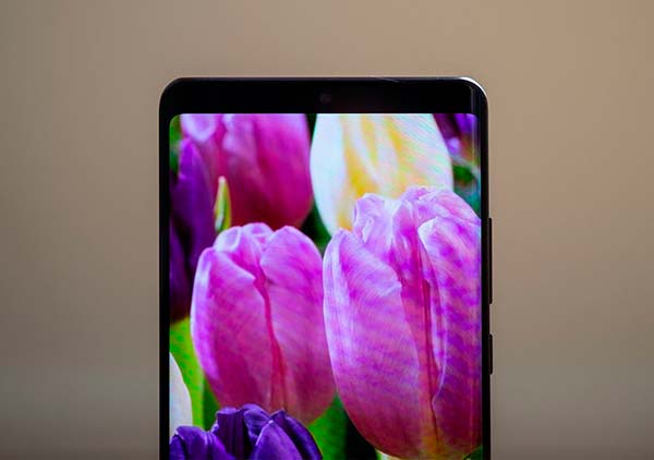 notch oculto Huawei P30