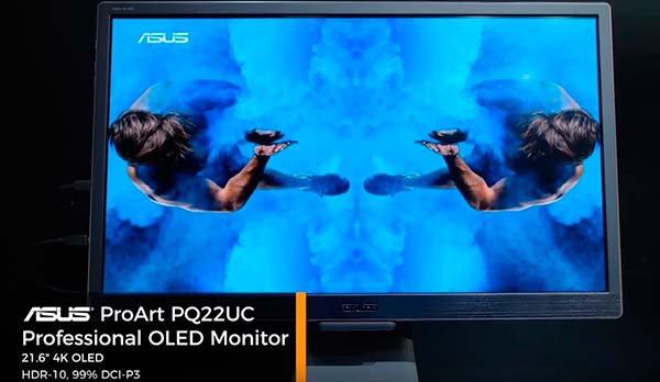 Asus Proart PQ22UC OLED