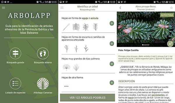 Arbolapp app identificar arboles