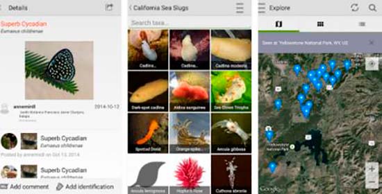 app iNaturalist