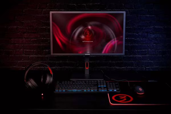 monitor dsp24 pro