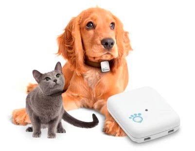 GPS para mascotas