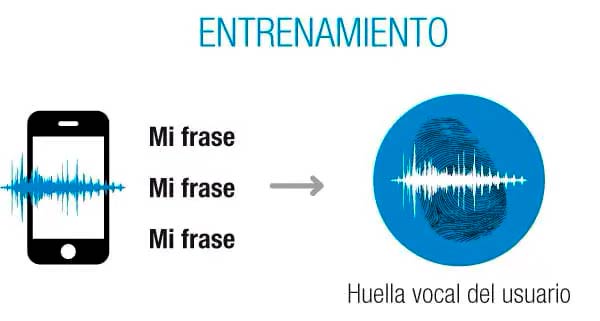 biometria de voz proceso entrenamiento