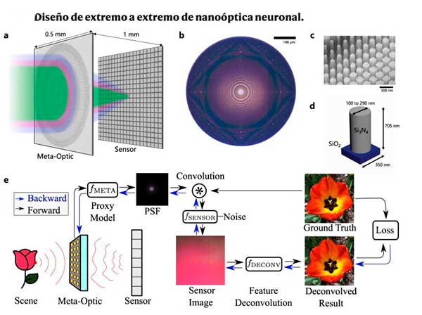 measuperficicie camara del tamaño de un grano de sal
