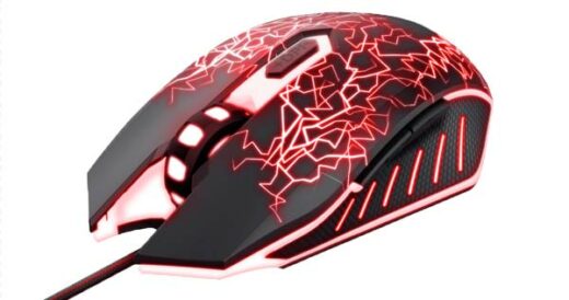 Raton Trust GXT 105X Izza