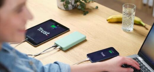 Power bank Trust Primo
