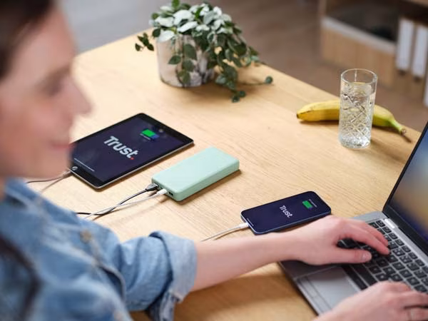 Power bank Trust Primo