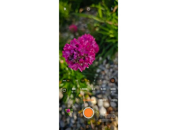 Modo Pro software camara OnePlus 12