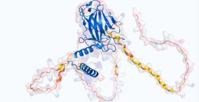 5 Años de AlphaFold
