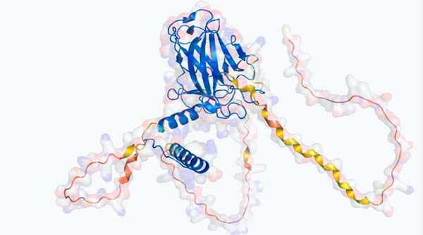 5 Años de AlphaFold