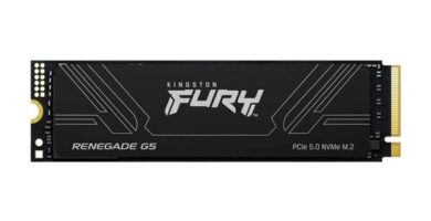 Kingston FURY Renegade G5