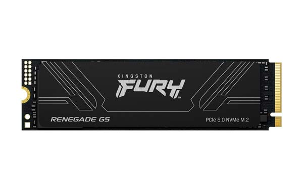 Kingston FURY Renegade G5