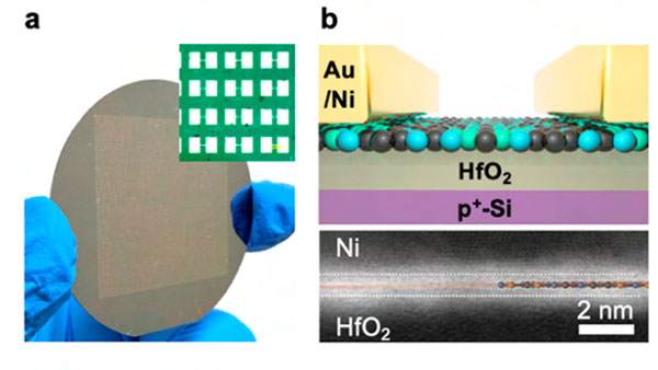 Oblea de 2 pulgadas utilizada para fabricar transistores con semiconductor BCN de una sola capa