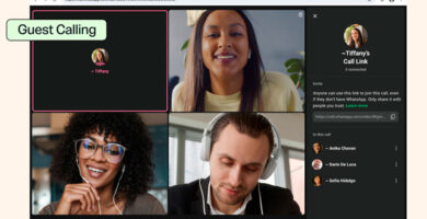 Interfaz oficial de WhatsApp Guest Calling mostrando una llamada con participantes e invitado desde navegador